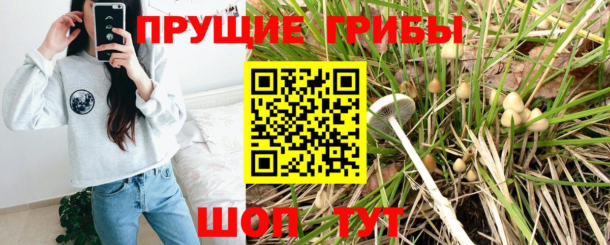 Псилоцибиновые грибы MAGIC MUSHROOMS  Галлюциногенные грибы GOLDEN TEACHER  Брянск  как найти закладки  Вход с VPN 