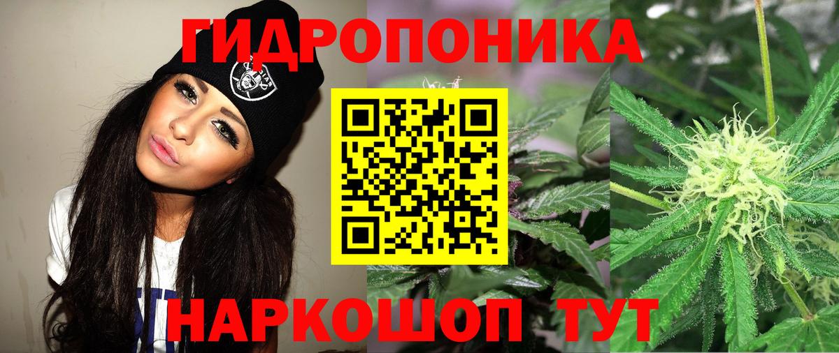 Брянск  Каннабис Bruce Banner  Каннабис AK-47  Вход с VPN  Бошки Шишки OG Kush 
