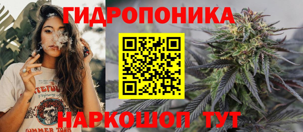 Каннабис SATIVA & INDICA Брянск